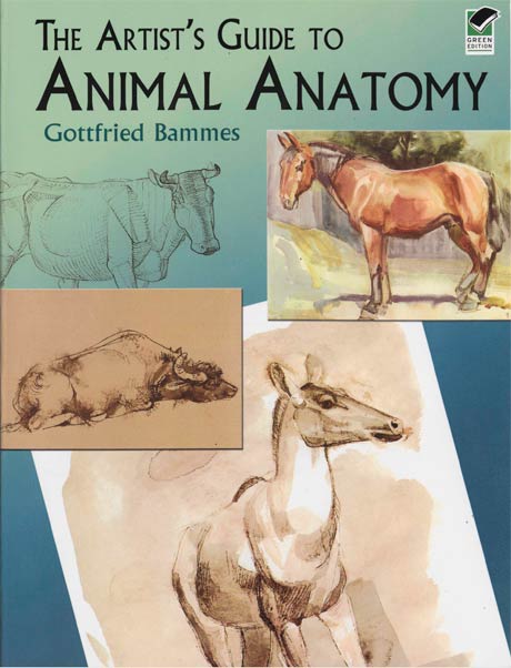 کتاب راهنمای آناتومی حیوانات برای هنرمندان - گاتفراید بامز