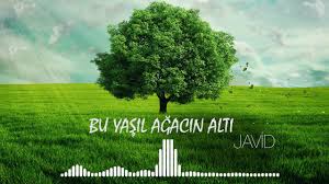 دانلود آهنگ Javid  بنام Bu Yaşıl Ağacın Altı موزیک آذربایجانی جدید۲۰۱۹